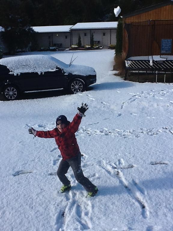 فندق Tongariro Holiday Park ناشونال بارك المظهر الخارجي الصورة